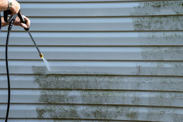 Best Brick Veneer Siding  in Leonardo, NJ
