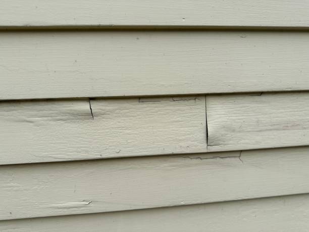 Best Custom Siding Design  in Leonardo, NJ